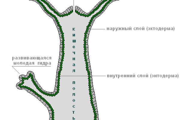 Кракен ссылка тупа германия